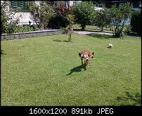 Samsung C6625 Review-photo0005.jpg