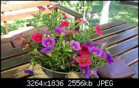 Samsung Galaxy Note 10.1 2014 Edititon - Fotoqualität-tmp_20140609_143219-1827995445.jpg