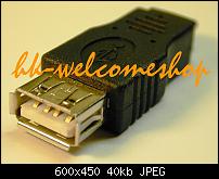 Zubehör zum Galaxy Note 2-usbotgadapter2a.jpg