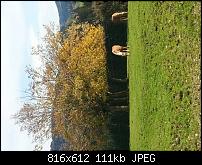 Foto und Videoqualität vom Galaxy Note 2-uploadfromtaptalk1350225785332.jpg