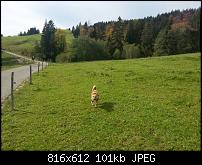 Foto und Videoqualität vom Galaxy Note 2-uploadfromtaptalk1350225801740.jpg