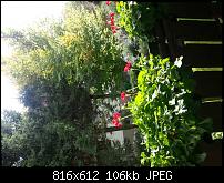 Foto und Videoqualität vom Galaxy Note 2-uploadfromtaptalk1350225822432.jpg