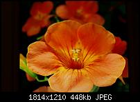 Bilder vom Galaxy Note 2-2012-10-15-18-48-582012-10-15-18-48-58.jpg