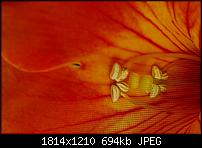 Bilder vom Galaxy Note 2-2012-10-15-18-54-242012-10-15-18-54-24.jpg