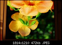 Bilder vom Galaxy Note 2-2012-10-15-18-48-552012-10-15-18-48-55.jpg