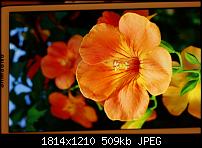 Bilder vom Galaxy Note 2-2012-10-15-18-48-322012-10-15-18-48-32.jpg