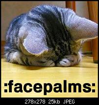 [OT] Stammtisch des Galaxy Note2-facepalm_cat.jpg