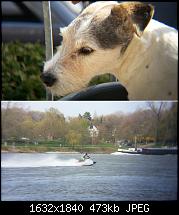 Zubehör zum Galaxy Note 2-hund-jetski.jpg
