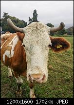 Samsung Galaxy Note 3 - Fotoqualität-20131012_102724-1.jpg