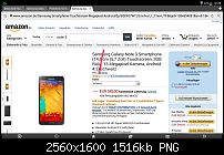 Probleme mit S-Planer, Email Client und Browser-2013-11-16-10-28-40.png