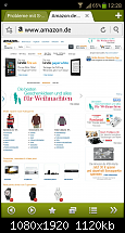 Probleme mit S-Planer, Email Client und Browser-2013-11-16-12-28-43.png