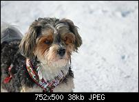 Samsung Galaxy Note 3 - Fotoqualität-uploadfromtaptalk1391628668086.jpg