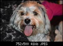 Samsung Galaxy Note 3 - Fotoqualität-uploadfromtaptalk1393932420311.jpg