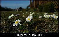 Samsung Galaxy Note 3 - Fotoqualität-uploadfromtaptalk1394378309823.jpg