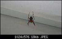 Samsung Galaxy Note 3 - Fotoqualität-uploadfromtaptalk1410677477888.jpg