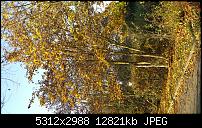 Fotoqualität des Samsung Galaxy Note 4-2014-11-23-14.25.52.jpg