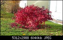 Fotoqualität des Samsung Galaxy Note 4-2014-11-23-13.54.32.jpg