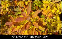 Fotoqualität des Samsung Galaxy Note 4-2014-11-23-14.01.28.jpg