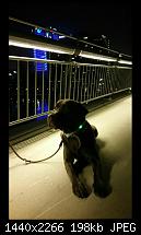 Fotoqualität des Samsung Galaxy Note 4-uploadfromtaptalk1416852316291.jpg