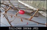 Fotoqualität des Samsung Galaxy Note 4-20141221_140208.jpg