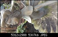 Fotoqualität des Samsung Galaxy Note 4-20141221_140236.jpg