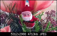 Fotoqualität des Samsung Galaxy Note 4-20141227_100439.jpg