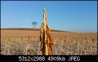 Fotoqualität des Samsung Galaxy Note 4-20150227_080455-1.jpg