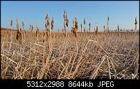 Fotoqualität des Samsung Galaxy Note 4-20150227_080515-1.jpg