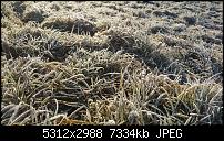 Fotoqualität des Samsung Galaxy Note 4-20150227_080709.jpg