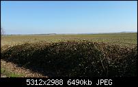 Fotoqualität des Samsung Galaxy Note 4-20150312_144837.jpg