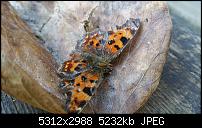 Fotoqualität des Samsung Galaxy Note 4-20150313_164756.jpg