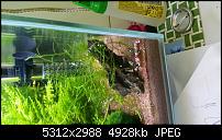 Fotoqualität des Samsung Galaxy Note 4-20150315_113512.jpg