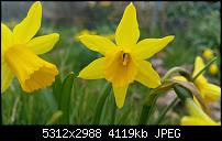 Fotoqualität des Samsung Galaxy Note 4-uploadfromtaptalk1427270914094.jpg