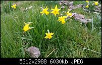 Fotoqualität des Samsung Galaxy Note 4-uploadfromtaptalk1427270934723.jpg