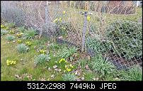 Fotoqualität des Samsung Galaxy Note 4-uploadfromtaptalk1427270952821.jpg