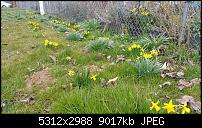 Fotoqualität des Samsung Galaxy Note 4-uploadfromtaptalk1427270973274.jpg