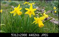 Fotoqualität des Samsung Galaxy Note 4-uploadfromtaptalk1427270995831.jpg