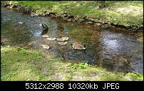 Fotoqualität des Samsung Galaxy Note 4-uploadfromtaptalk1436897484195.jpg