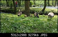 Fotoqualität des Samsung Galaxy Note 4-20150524_150652.jpg