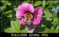 Fotoqualität des Samsung Galaxy Note 4-20150802_150524.jpg