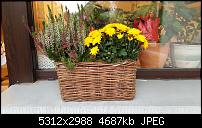 Samsung Galaxy Note 5 - Fotoqualität-20151030_081611.jpg