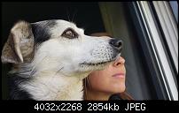 Samsung Galaxy Note 7 - Qualität der Photos-20160910_080231.jpg