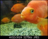 Samsung Galaxy Note 7 - Qualität der Photos-20160921_211927.jpg