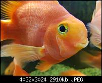 Samsung Galaxy Note 7 - Qualität der Photos-20160921_211819.jpg