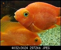 Samsung Galaxy Note 7 - Qualität der Photos-20160921_211841.jpg