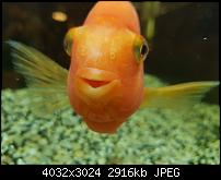 Samsung Galaxy Note 7 - Qualität der Photos-20160921_211717.jpg