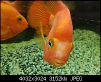 Samsung Galaxy Note 7 - Qualität der Photos-20160921_211748.jpg