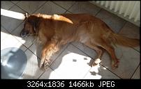 Samsung Galaxy Note Pro - Fotoqualität-20140320_122616.jpg