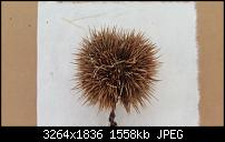 Samsung Galaxy Note Pro - Fotoqualität-20140320_122400.jpg