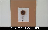 Samsung Galaxy Note Pro - Fotoqualität-20140320_122433.jpg